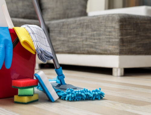The Science of Cleaning: How MaidLuxe Ensures a Hygienic Home