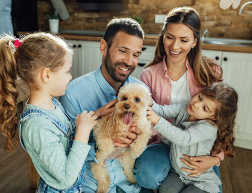 Houston’s Guide to Allergen-Free Living with Summer Cleaning Services